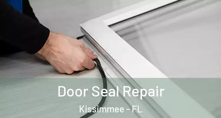  Door Seal Repair Kissimmee - FL