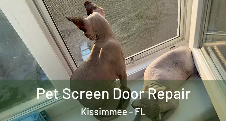 Pet Screen Door Repair Kissimmee - FL