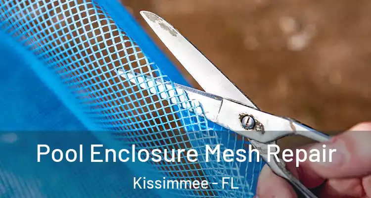 Pool Enclosure Mesh Repair Kissimmee - FL