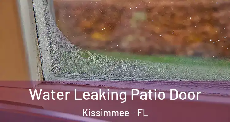 Water Leaking Patio Door Kissimmee - FL